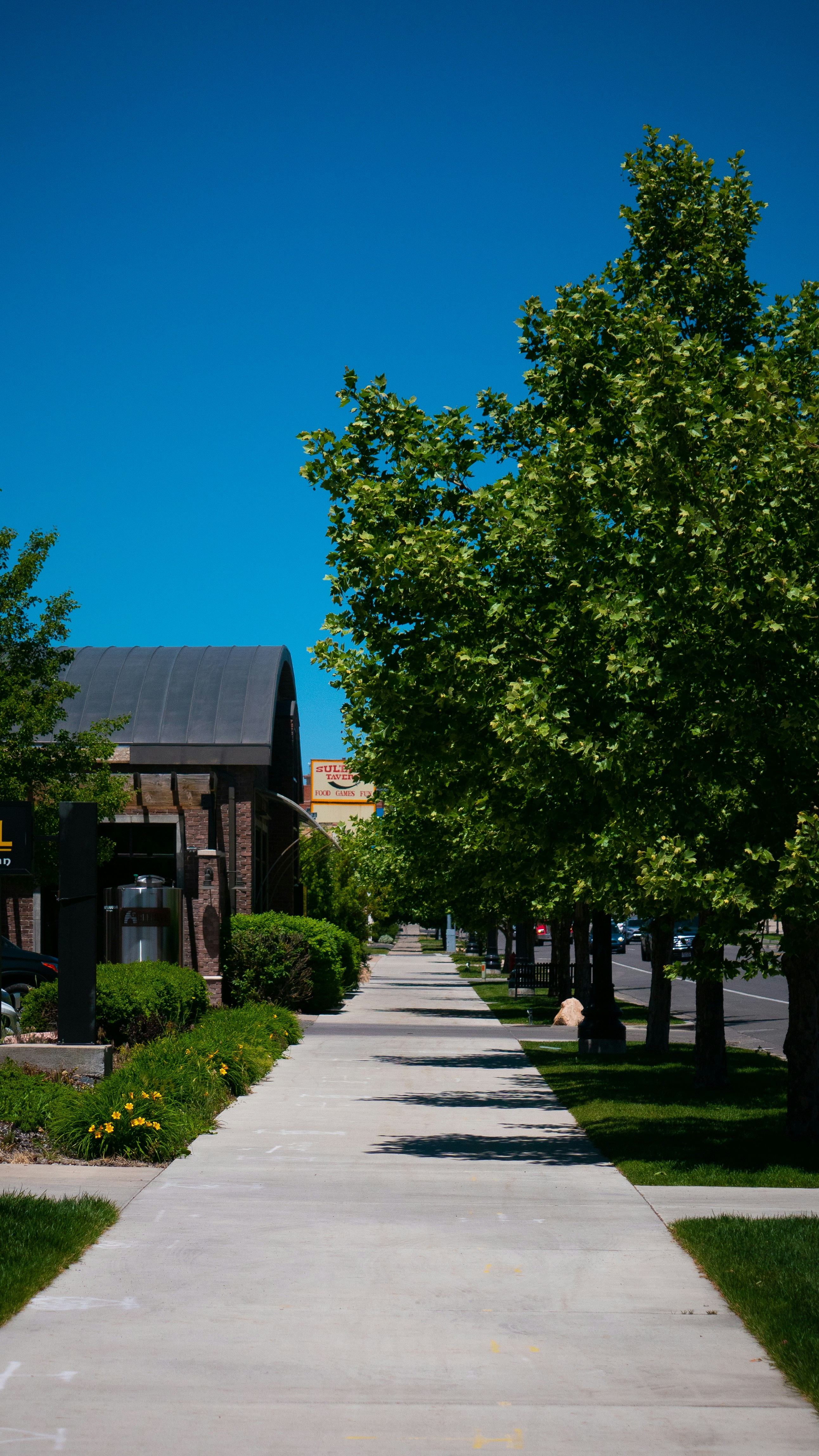 Commercial landscape installation — Ogden, UT