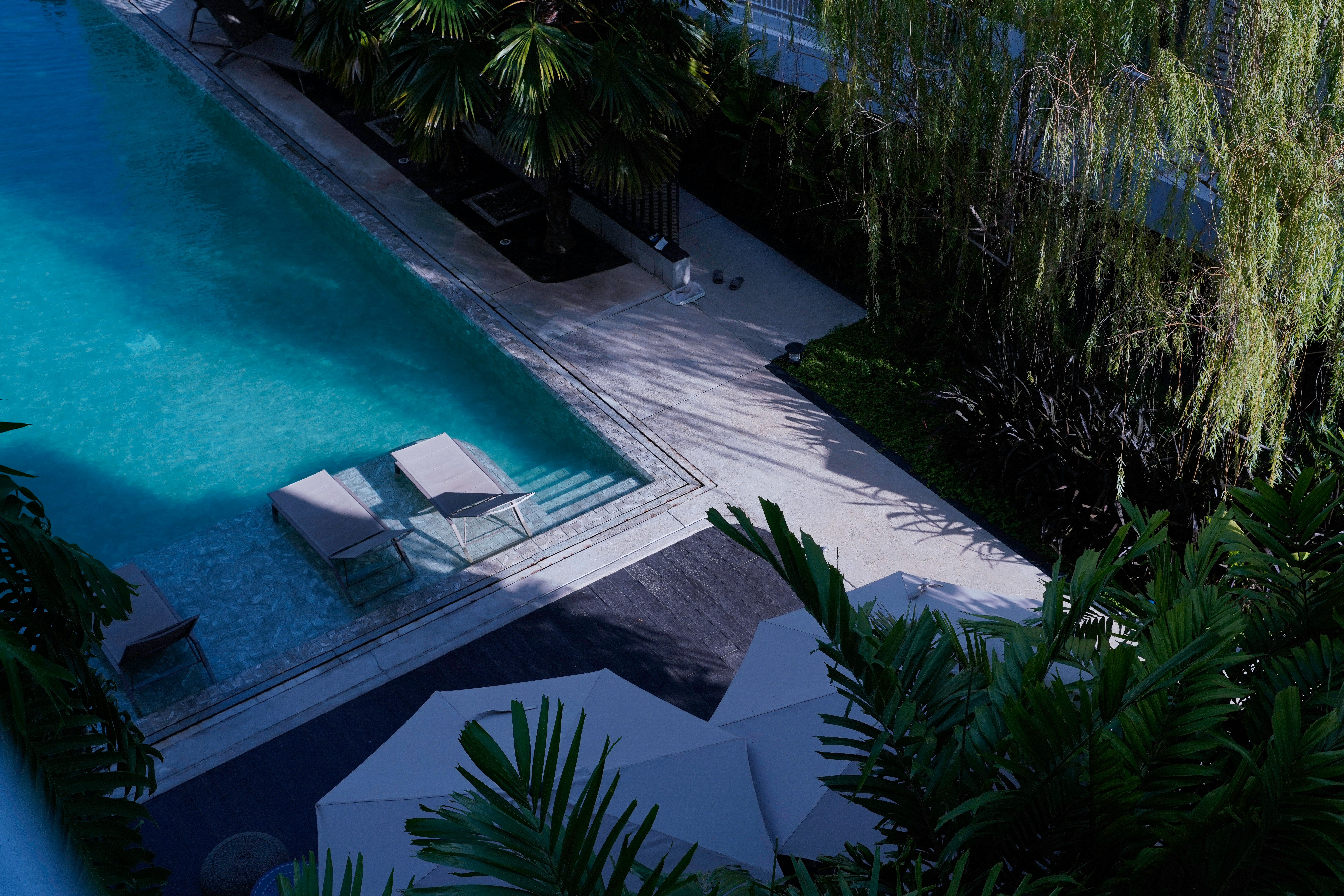 Outdoor pool landscape design and installation